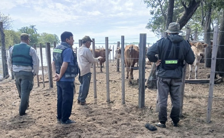 Isla Apipé: La Policía recorre las zonas afectadas por la creciente