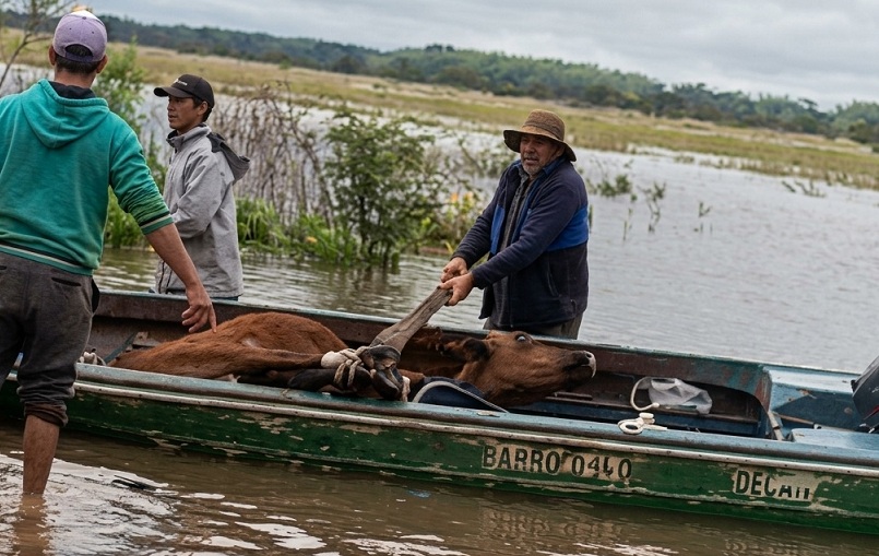 Baja lentamente la altura del rio Paraná y se posiciona en los 4.65 metros